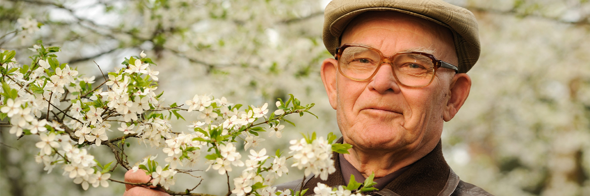 man in golfing hat holding a branch of cherry blossoms